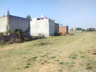 Plot For Resale in Jajru Faridabad  6544936