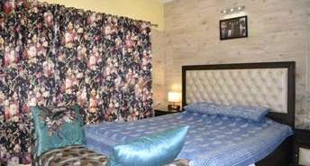 1 BHK Apartment For Rent in Dhanya Niketan Sector 42 Noida 6544373