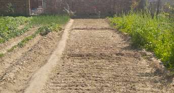 Plot For Resale in Sector 18, Greator Noida Greater Noida 6545048