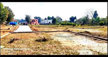  Plot For Resale in Birpur Cantonment Dehradun 6545138