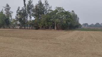  Plot For Resale in Mohan Road Lucknow 6545372