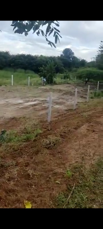 Plot For Resale in Ibrahimpatnam Hyderabad  6545489