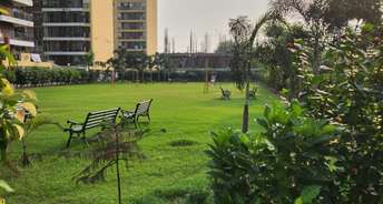 3 BHK Apartment For Resale in Sector 126 Mohali 6545714