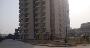 3 BHK Builder Floor For Resale in Sector 77 Gurgaon 6546140