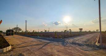  Plot For Resale in Bhanur Hyderabad 6546149