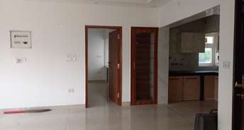 2 BHK Apartment For Rent in Gangotri Pocket C Alaknanda Delhi 6546336