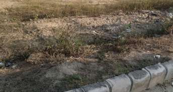  Plot For Resale in Sector 110a Gurgaon 6546355