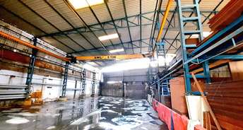 Commercial Warehouse 4000 Sq.Yd. For Rent In Vatva Gicd Ahmedabad 6546401