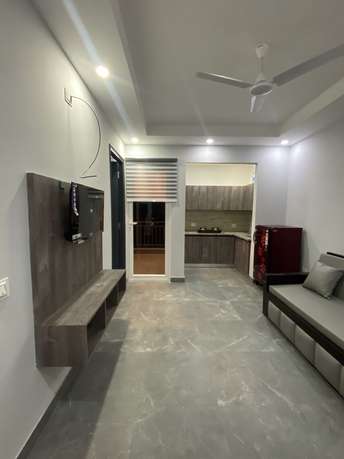 1.5 BHK Builder Floor For Rent in Golf Course Road Gurgaon  6546602