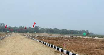 Commercial Industrial Plot 500 Sq.Yd. For Resale In Mauli Panchkula 6546676