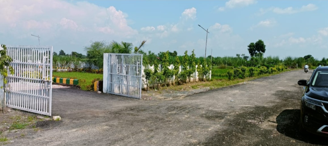 Plot For Resale in Jewar Greater Noida  6546755