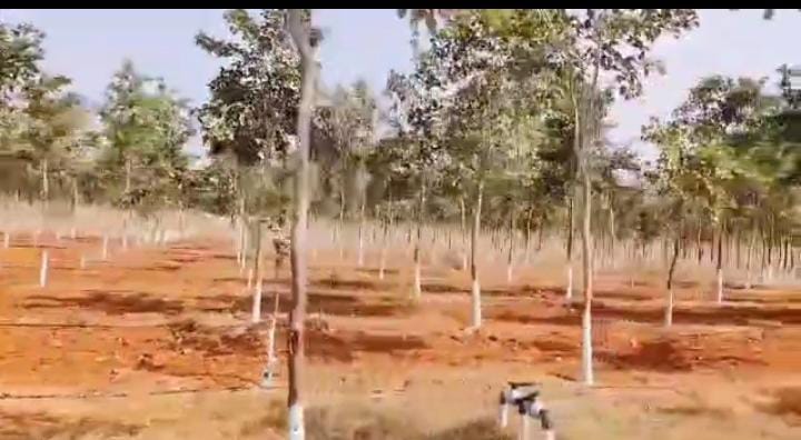 Plot For Resale in Nizampet Hyderabad  6547177