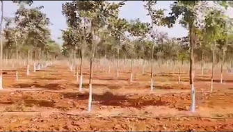 Plot For Resale in Lingampally Hyderabad  6547205