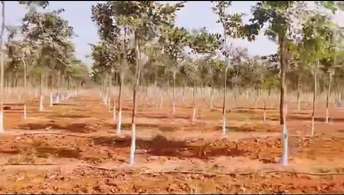  Plot For Resale in Lingampally Hyderabad 6547205