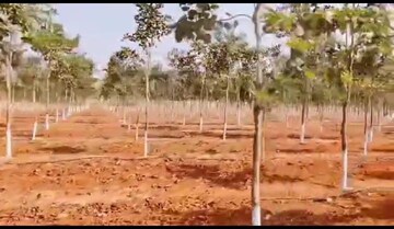 Plot For Resale in Serilingampally Hyderabad  6547230