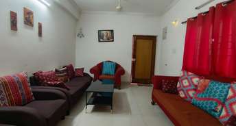 3 BHK Apartment For Rent in Banjara Hills Hyderabad 6547635