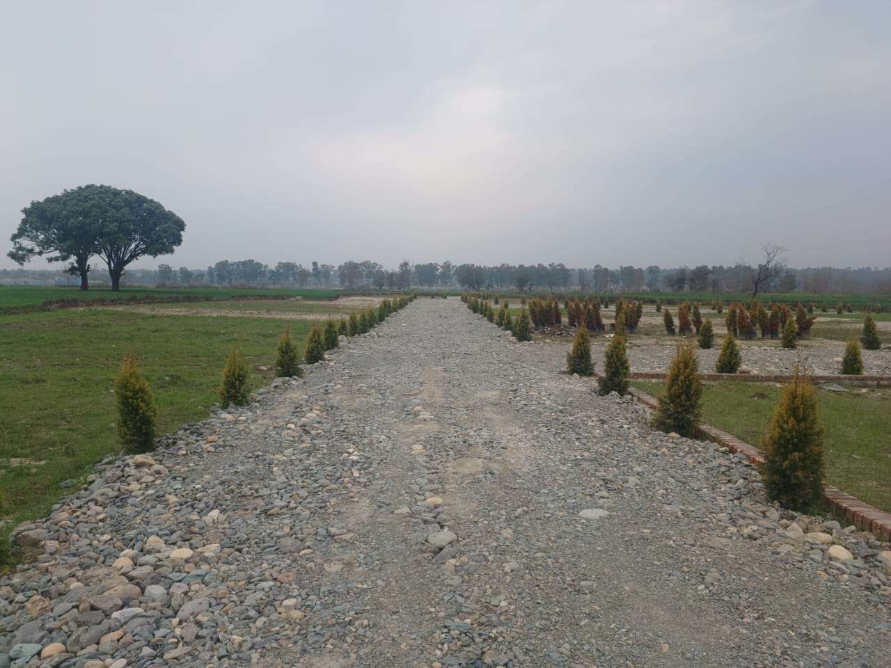 Resale 2 Acre Plot in Jolly Grant Dehradun 6548085