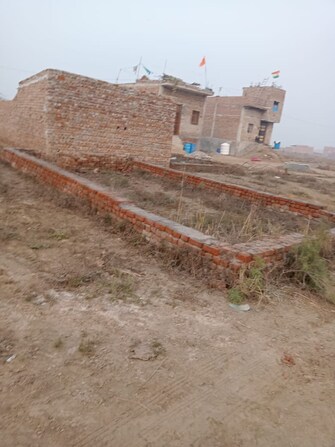 Plot For Resale in Fateh Nagar Delhi  6548209