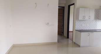 1 BHK Apartment For Rent in Channasandra Main Road Bangalore 6548816
