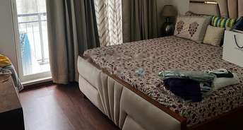 3.5 BHK Apartment For Rent in Dheeraj Insignia Bandra East Mumbai 6549073
