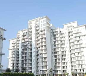 4 BHK Apartment For Resale in White Lily Residency Sonipat Road Sonipat  6549599