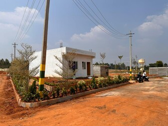 Plot For Resale in Nelamangala Bangalore  6549707