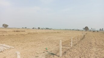  Plot For Resale in Vatika Kunj Bhondsi Gurgaon 6550298