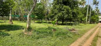  Plot For Resale in Mannuthy Thrissur 6550471