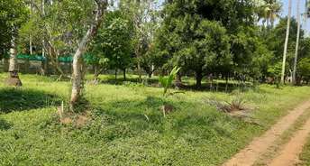  Plot For Resale in Mannuthy Thrissur 6550471