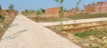 Plot For Resale in Jajru Faridabad  6550720