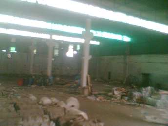 Commercial Warehouse 14000 Sq.Ft. For Rent In Bulandshahr Road Industrial Area Ghaziabad 6550936