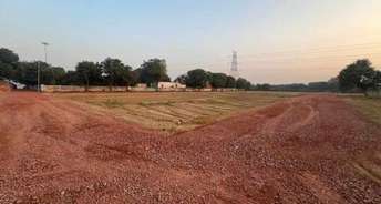  Plot For Resale in Kaliawas Gurgaon 6551151
