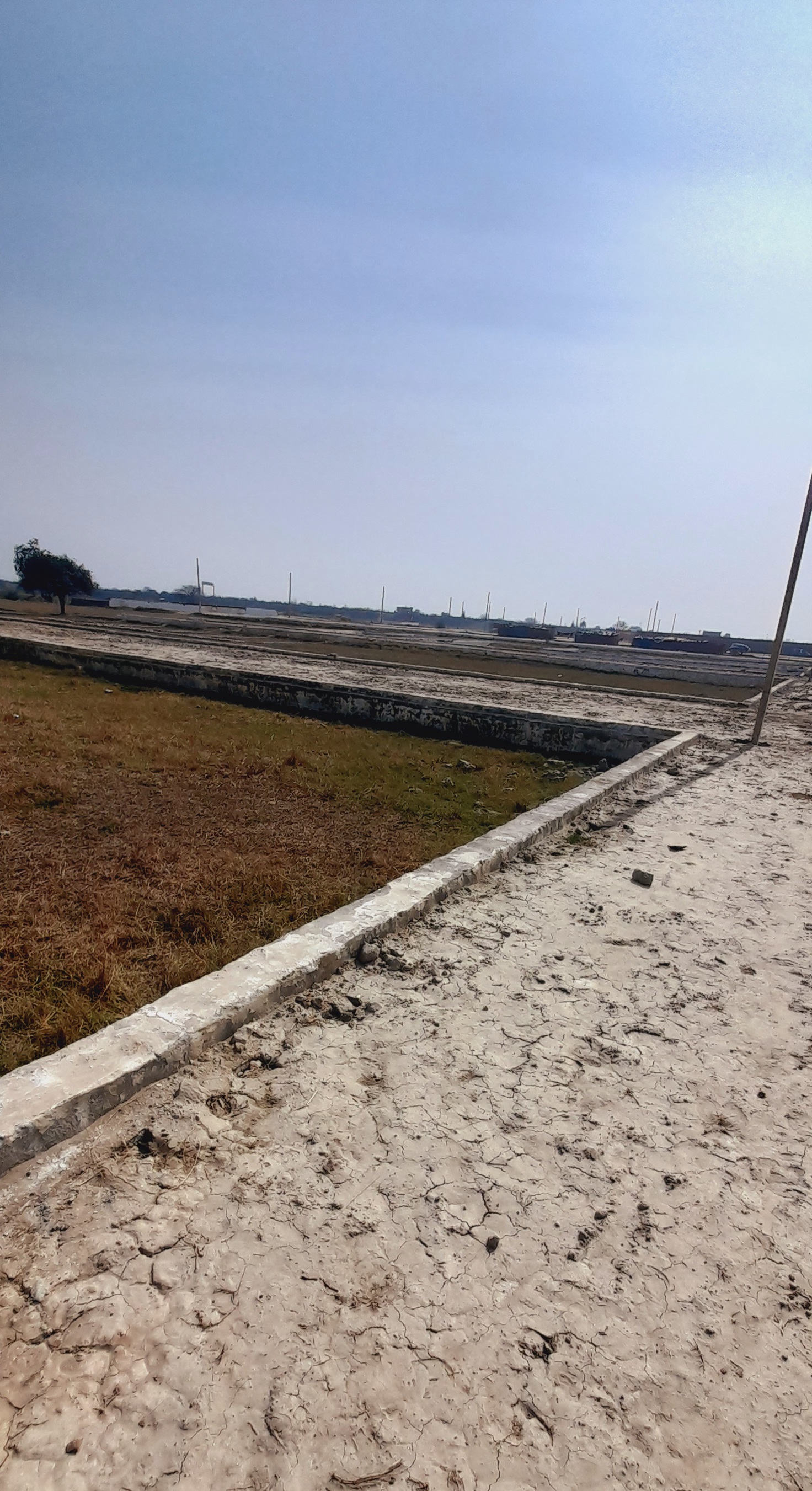 Plot For Resale in Jewar Greater Noida  6551302