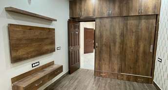3 BHK Builder Floor For Rent in Sector 79 Mohali 6551371