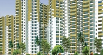 1 BHK Apartment For Rent in Habitech Panch Tatva Noida Ext Tech Zone 4 Greater Noida 6551864