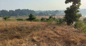 Commercial Land 34 Acre For Resale In Wada Thane 6552651