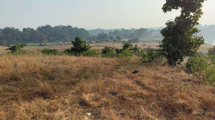 Commercial Land 34 Acre in Wada Thane