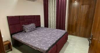 2 BHK Builder Floor For Rent in Sector 12 Gurgaon 6553006