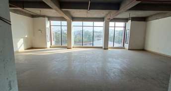 Commercial Showroom 1100 Sq.Ft. For Rent In Zoo Tiniali Guwahati 6553012