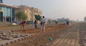  Plot For Resale in Sector 98 Faridabad 6553138