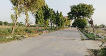  Plot For Resale in Sector 97a Faridabad 6553147