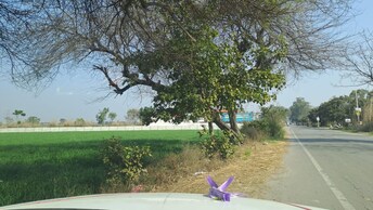 Commercial Land 45 Acre For Resale in Sonipat Road Sonipat  6553323