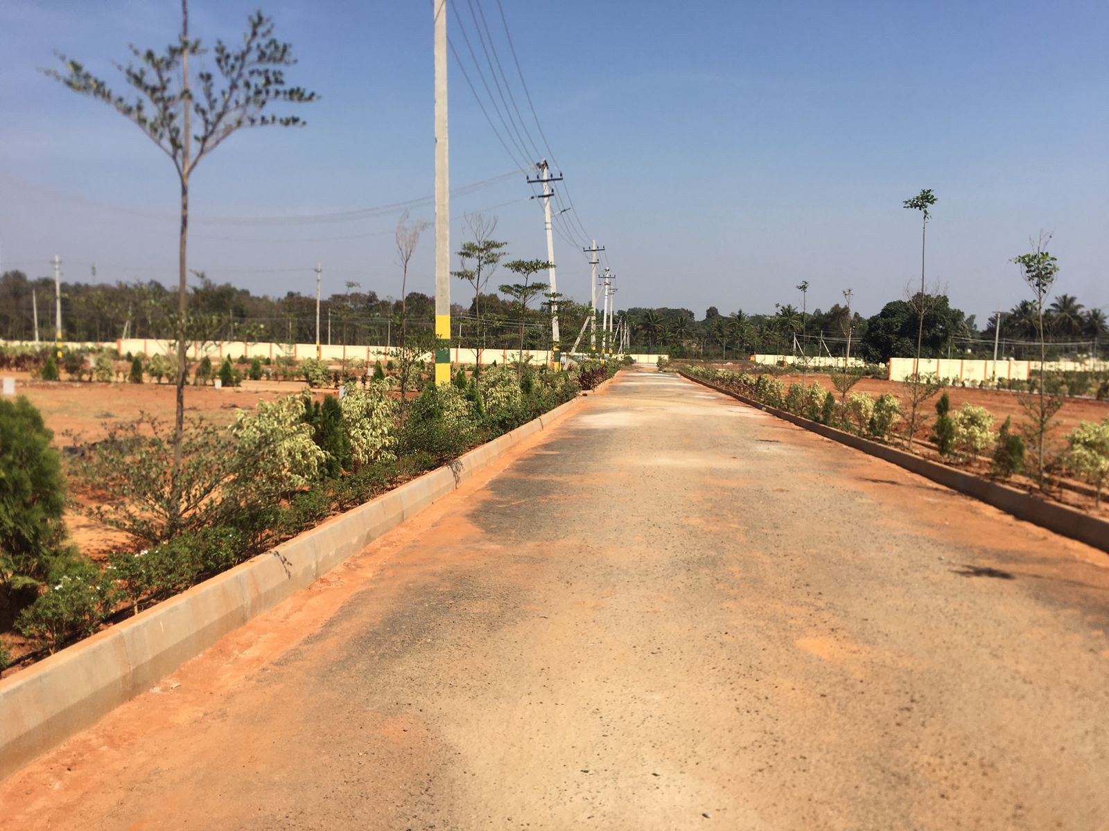 Plot For Resale in Nelamangala Bangalore  6553435