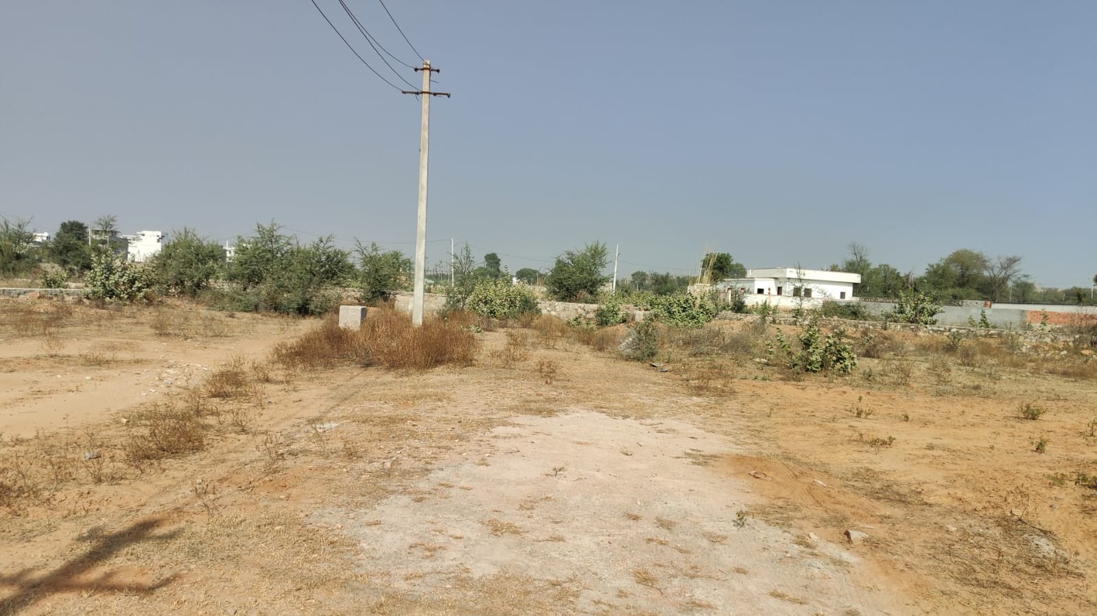 Resale 100 Sq.Yd. Plot in Jagatpura Jaipur - 6553977