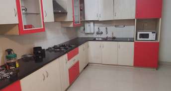 2 BHK Builder Floor For Rent in Tata Nagar Bangalore 6554110