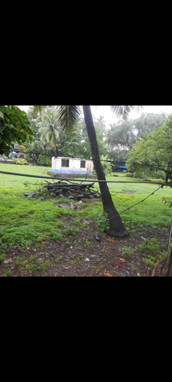 Commercial Land 57000 Sq.Ft. For Resale In Juhu Mumbai 6554411