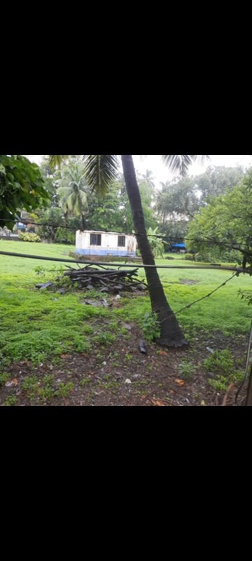 Commercial Land 57000 Sq.Ft. For Resale in Juhu Mumbai  6554411