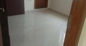 3 BHK Apartment For Rent in Bhuvanas Urban Greens Gowdavalli Hyderabad 6554438
