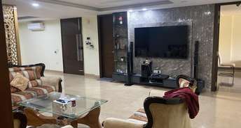 3 BHK Apartment For Rent in Sector 21 Gurgaon 6554452