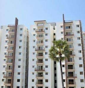 3 BHK Apartment For Rent in Ashoka Lake Side Manikonda Hyderabad 6554877